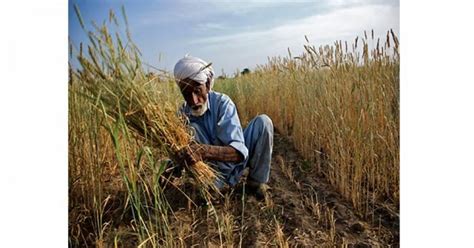  Land Reforms: Unveiling Pakistan's Agrarian Dreams and Dilemmas