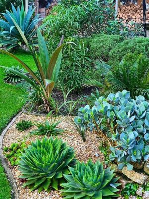  ¿Xeriscaping Your Home: A Guide to Sustainable Gardening in Nigeria?: Un viaje botánico por la belleza seca y un canto a la resiliencia de la naturaleza